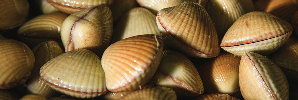 Chocolats de Paques 2026